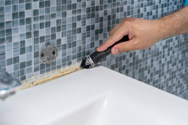 Best Bathroom Mold Remediation in Abbotsford, WI