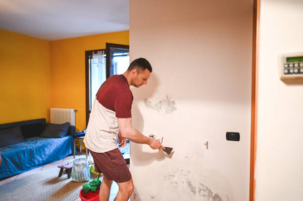Best Post-Flood Mold Remediation in Abbotsford, WI